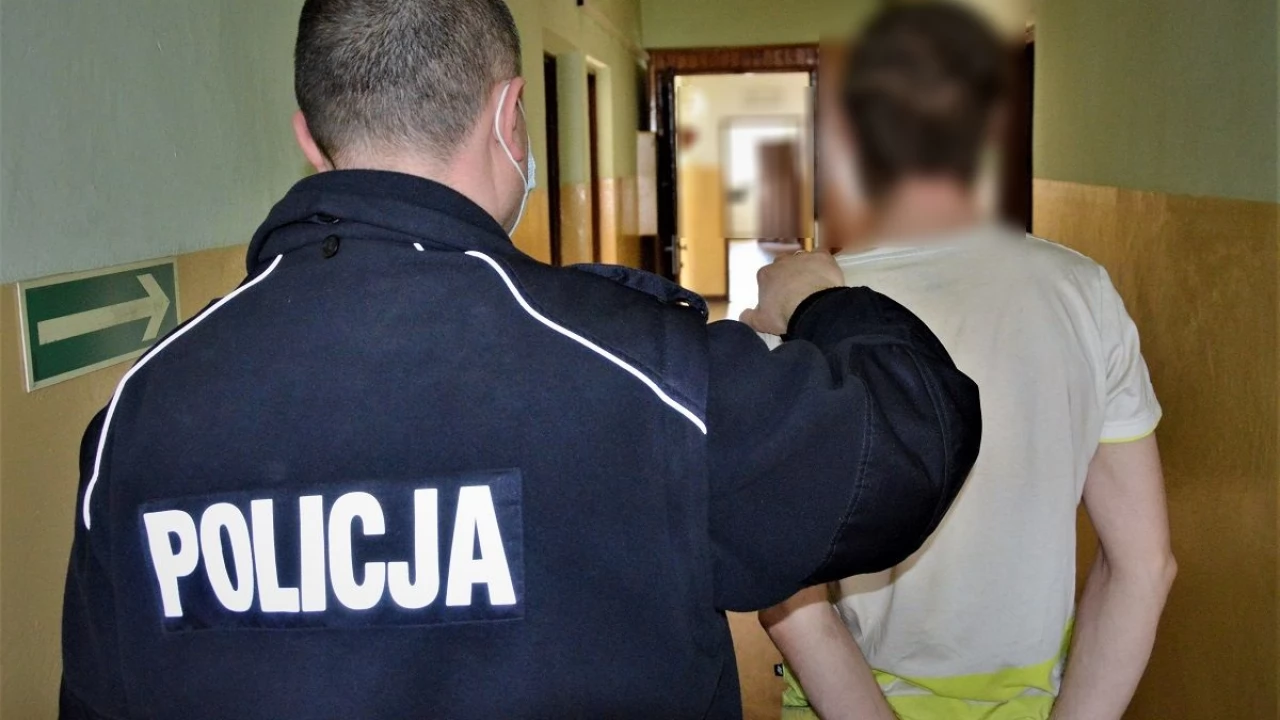 Ścigany paradował po Orzeszkowej. Za kradzież grozi mu 10 lat więzienia