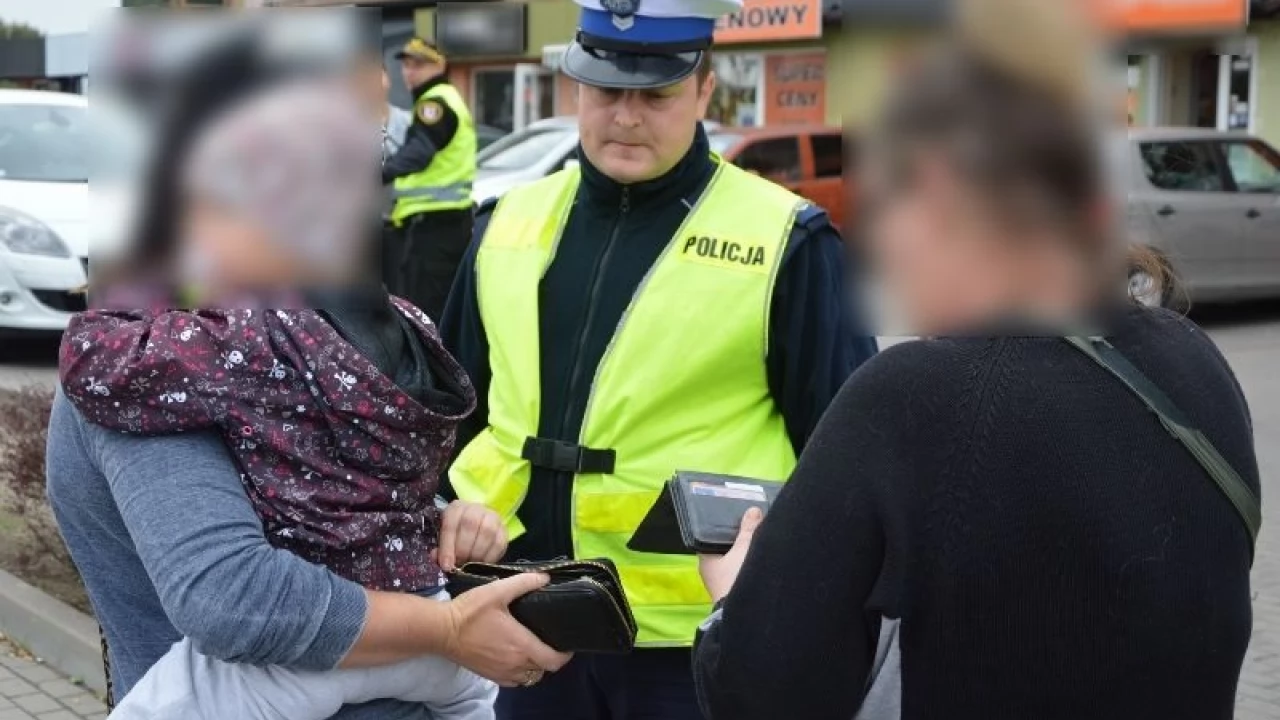 Posypały się mandaty. Jakie główne przewinienia pieszych?
