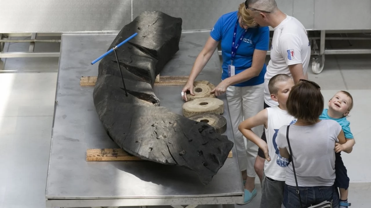 Noc Muzeów 2019 w Narodowym Muzeum Morskim - atrakcje także w Tczewie