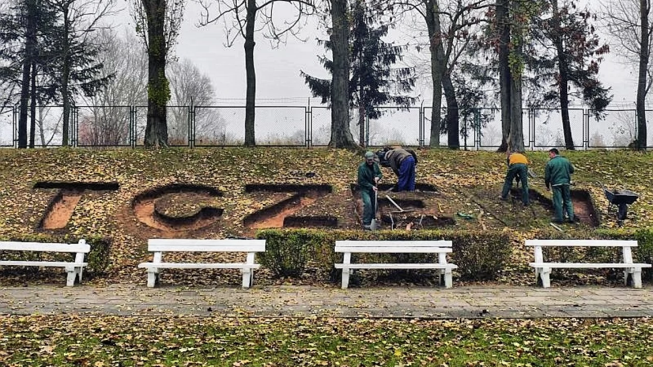 Rabata z ozdobnych krzewów powita w Tczewie