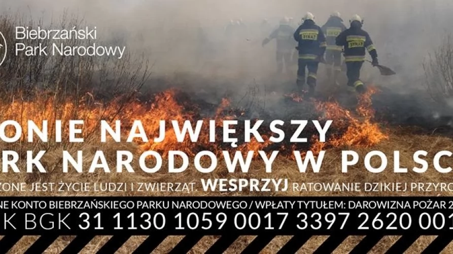 Plonie Biebrzański Park Narodowy