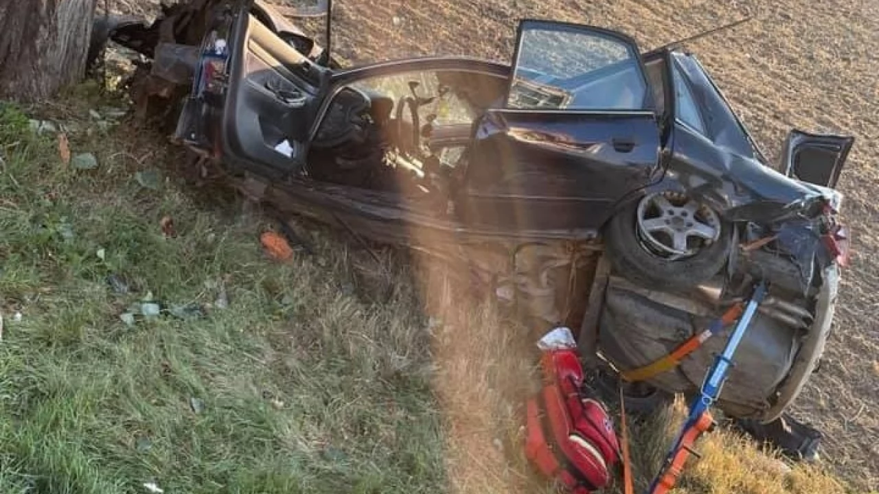 Auto wypadło z drogi i uderzyło w drzewo