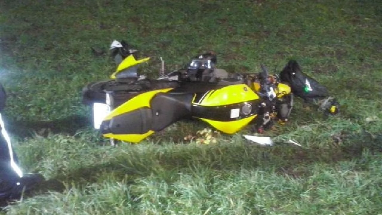 Motocyklista zderzył się z koniem