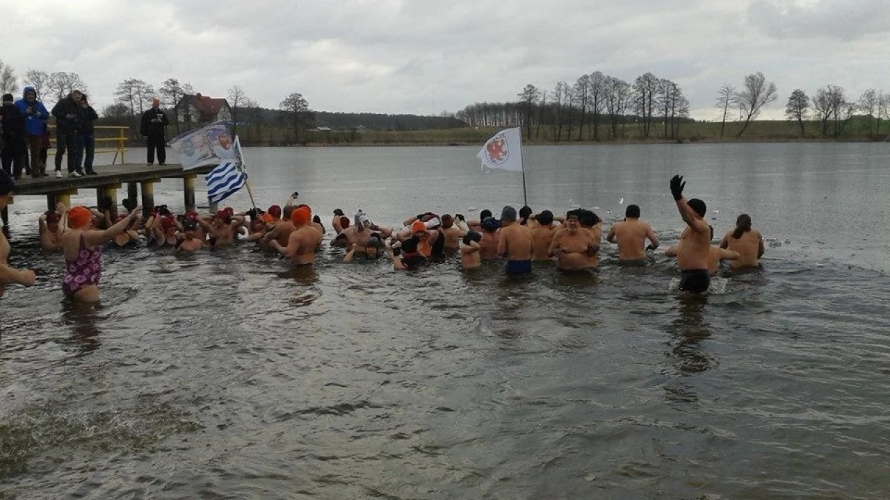 Tczewskie morsy uhonorowane! Teraz jadą do Skandynawii, bo u nas... za ciepło