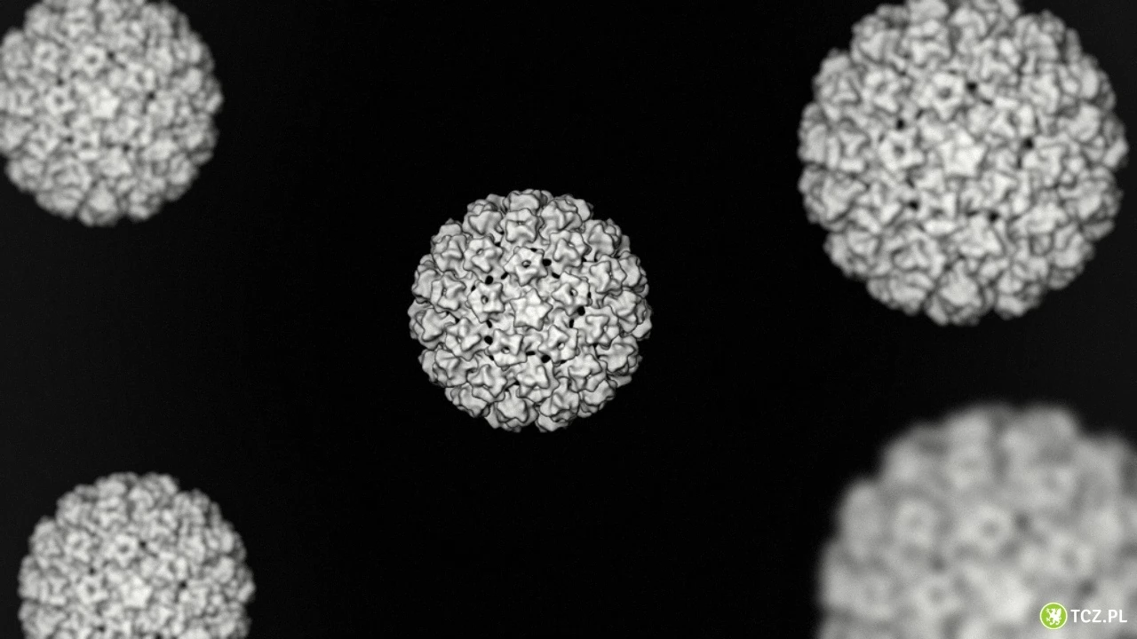 Ruszają szczepienia przeciwko wirusowi HPV dla dwunastolatek