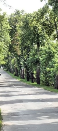 Ten odcinek czeka na remont