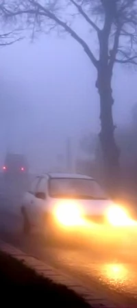 Mgła utrudnia sytuację na drogach