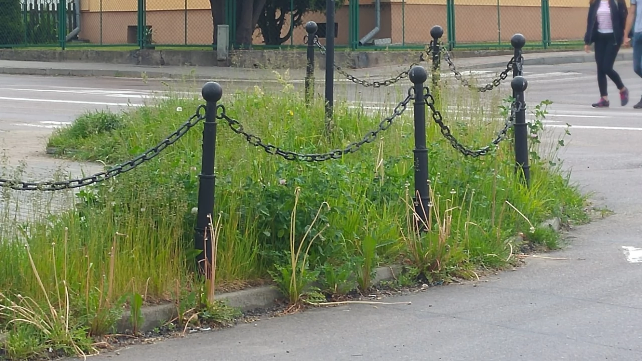 Gniew i Pelplin przejęły utrzymanie zieleni