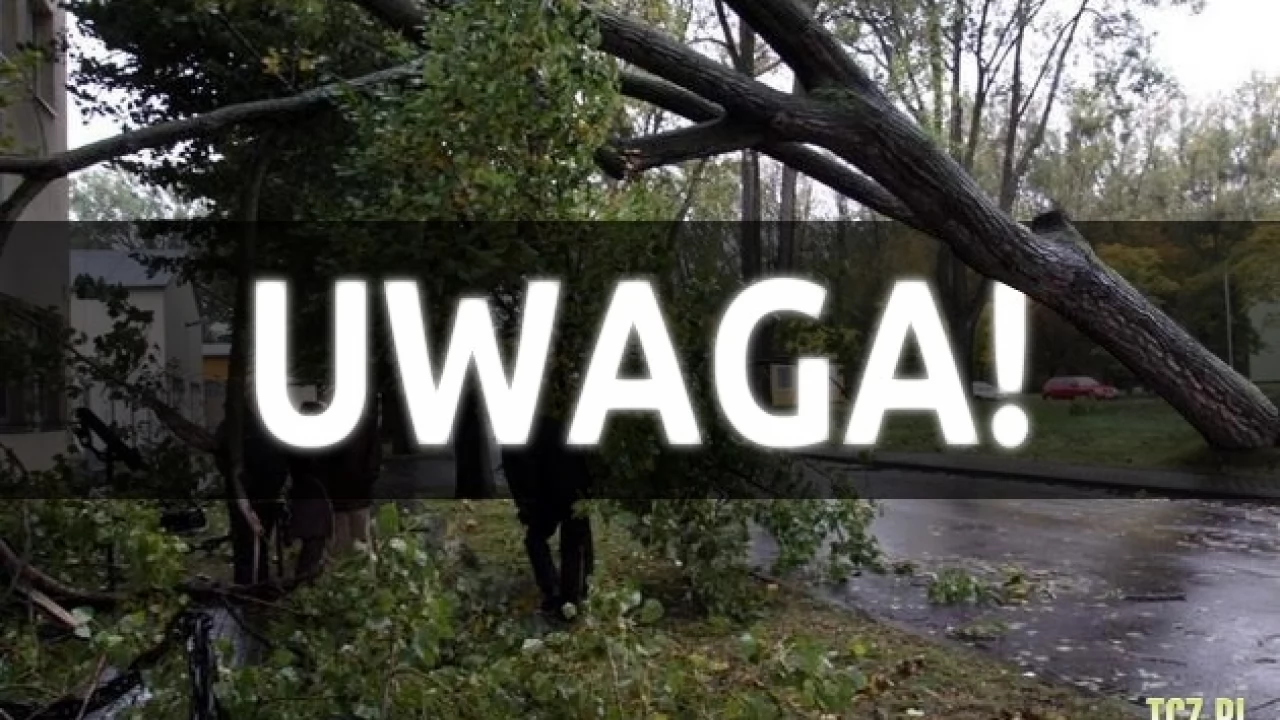 W związku z prognozowaną wichurą - 3 stopień zagrożenia. "Duże prawdopodobieństwo wystąpienia szkód materialnych"