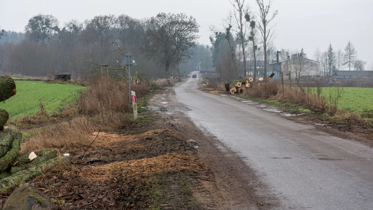 Ruszają prace budowlane związane z przebudową drogi wojewódzkiej nr 230
