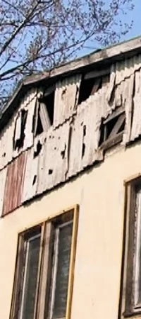 Hala Pilawa