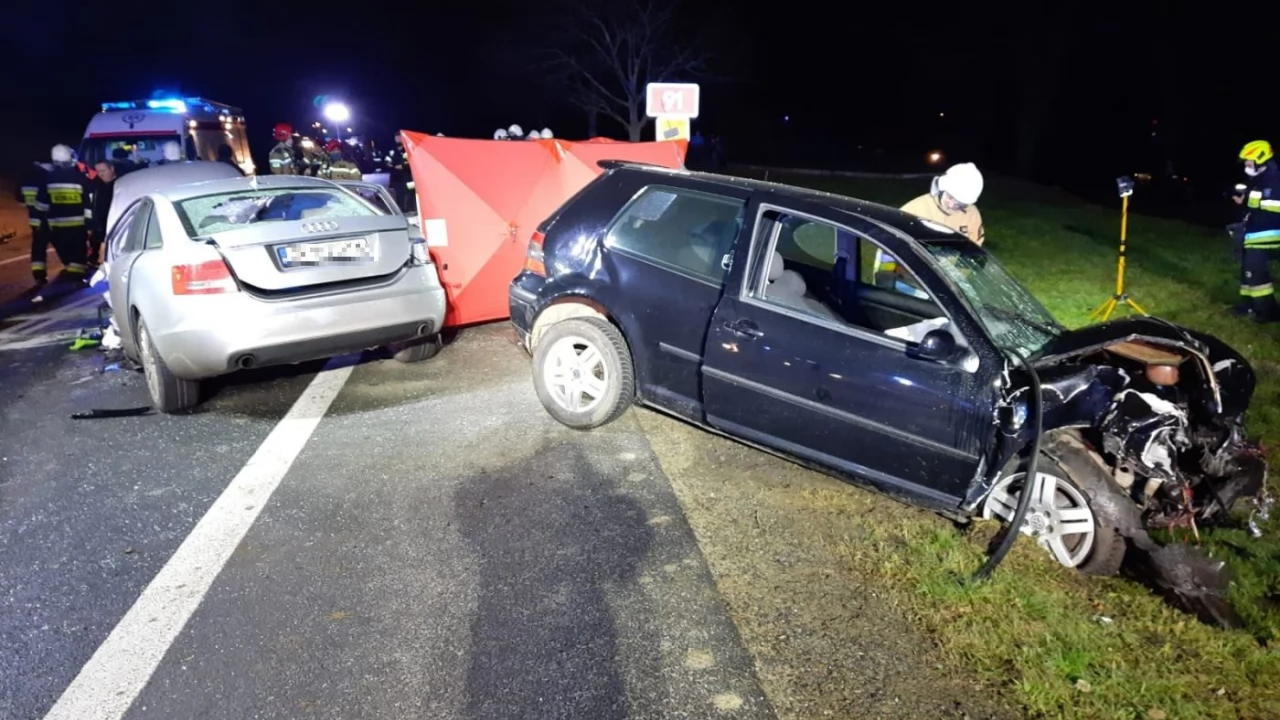 Wypadek na dk 91. Nie żyje jedna osoba, ranni zakleszczeni w pojazdach [AKTUALIZACJA]