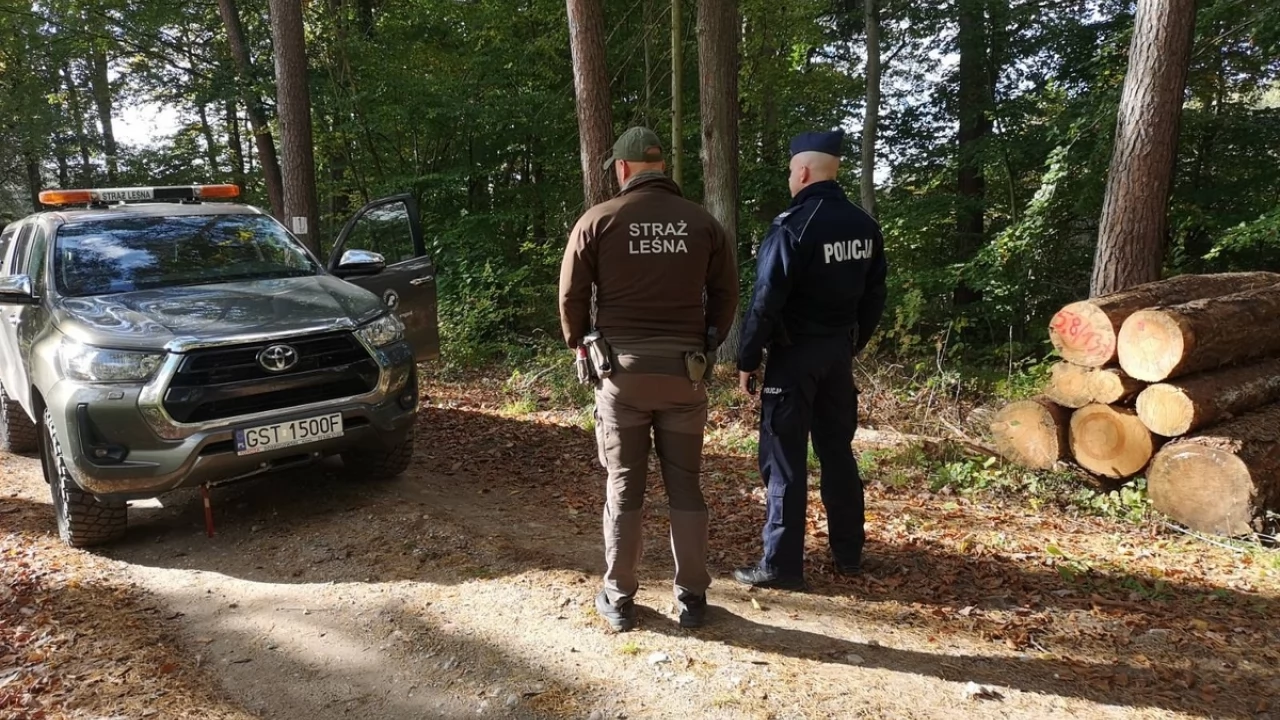Wspólne patrole Policji i Straży Leśnej
