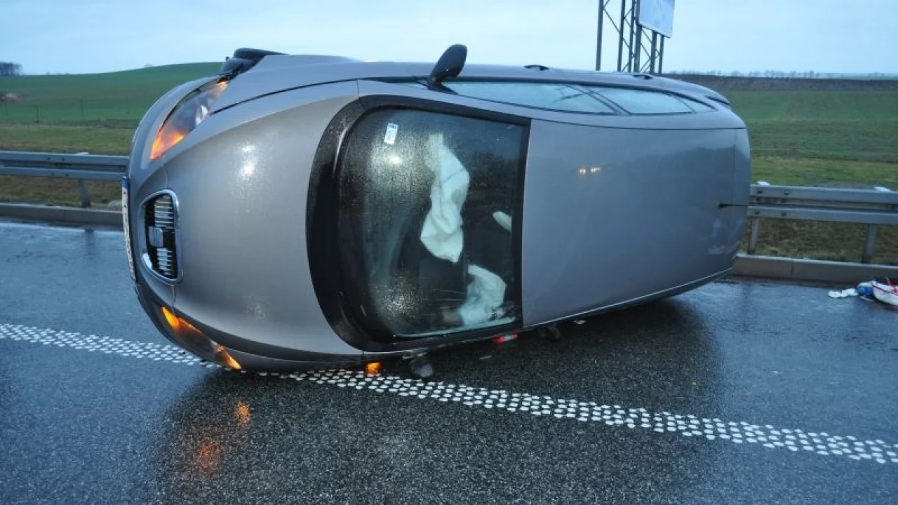 Autostrada A1. Jedna osoba ranna po zderzeniu dwóch aut z łosiem