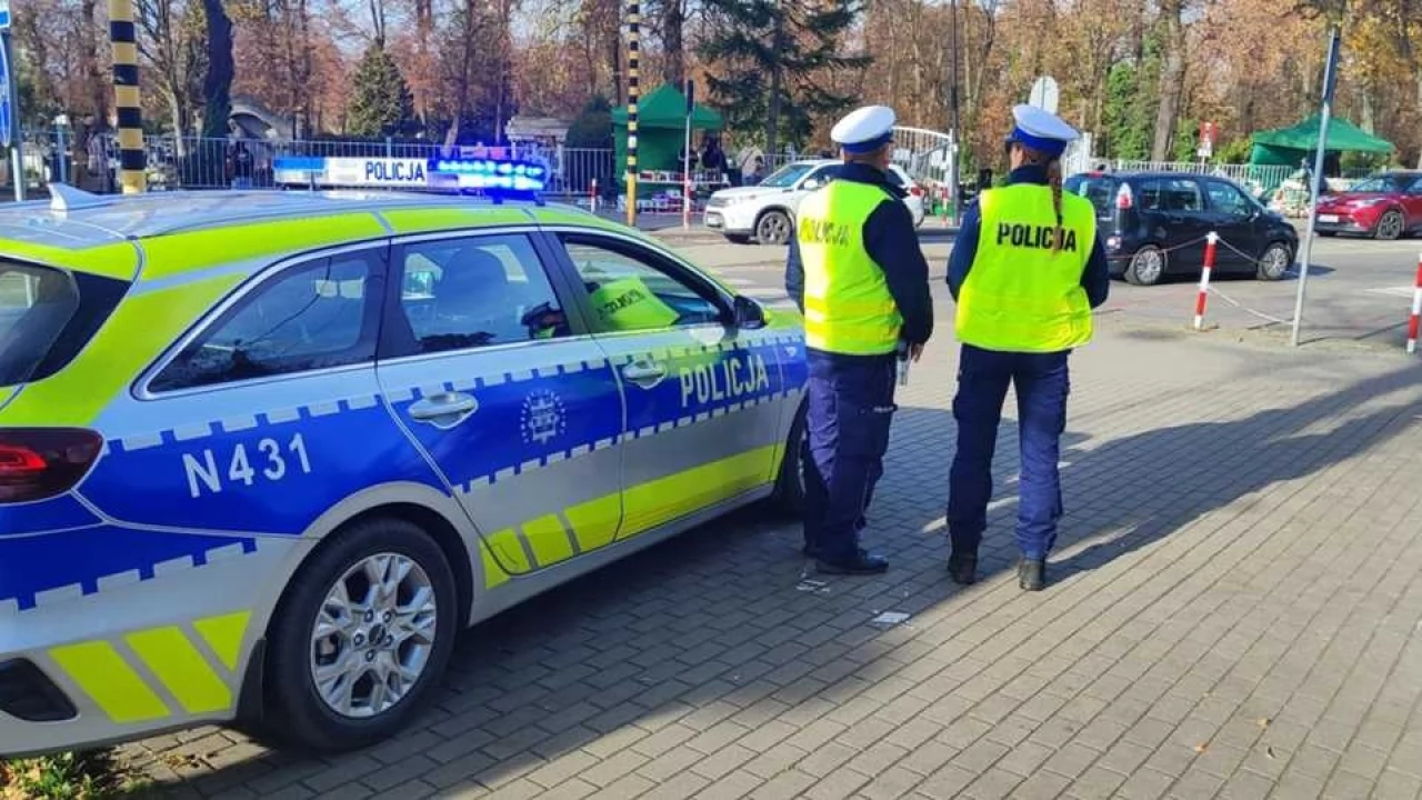 7 kolizji w pierwsze dni listopada - w tym zderzenie z sarną, dzikiem oraz cielakiem