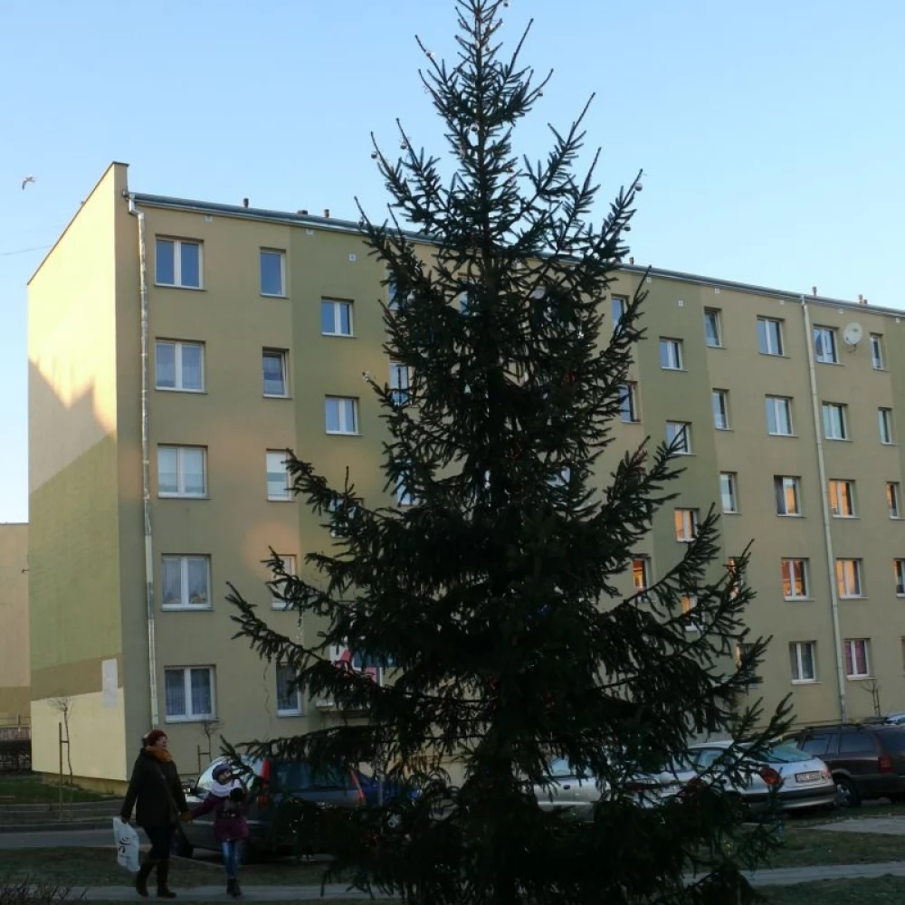 W Pelplinie szukają najpiękniejszej ozdoby choinkowej