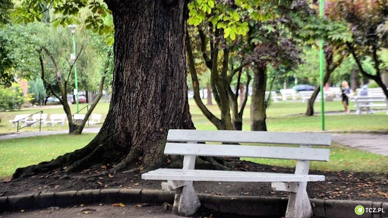 Park Kopernika będzie własnością Kościoła Ewangelicko-Augsburskiego?