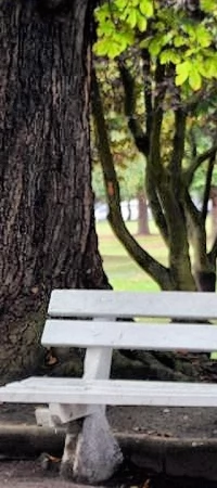 Park Kopernika