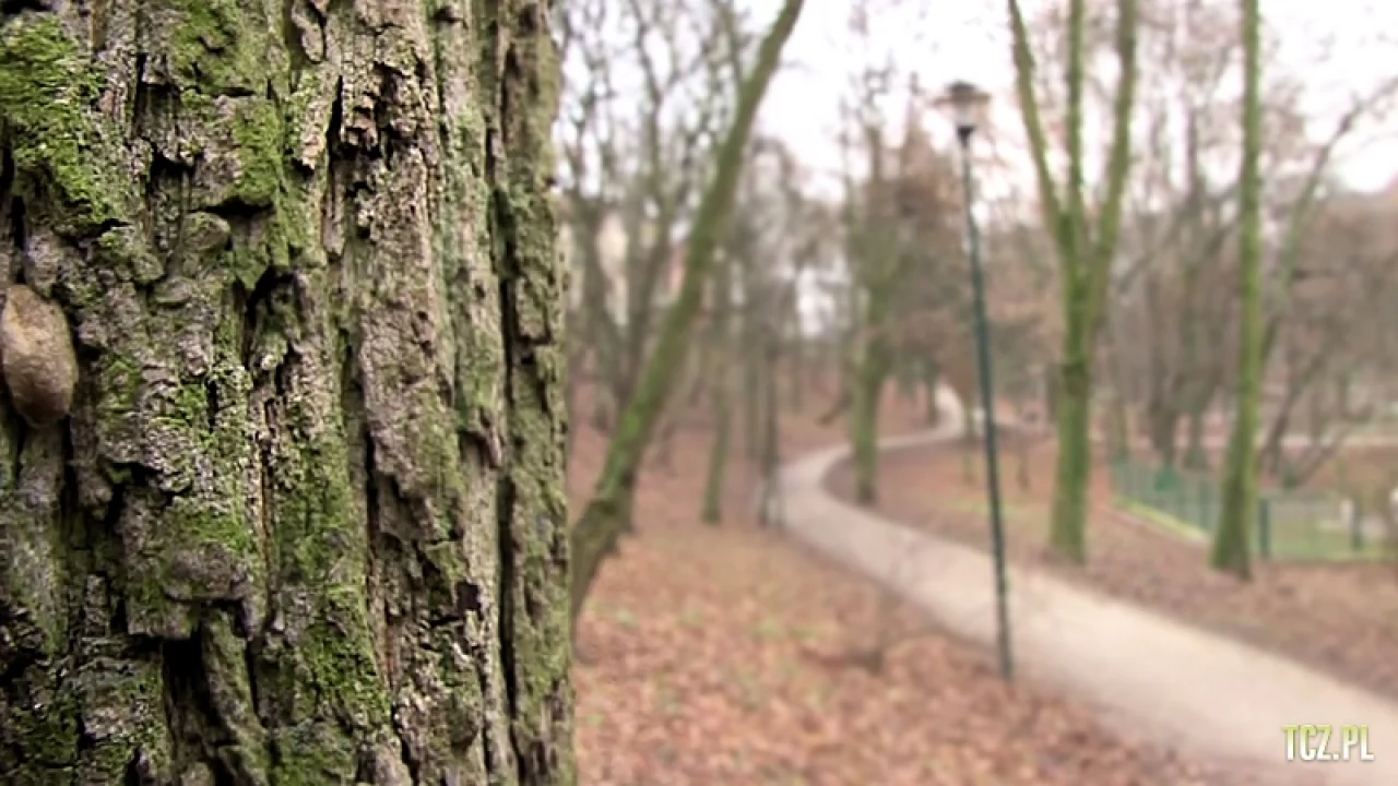 Warsztaty dla mieszkańców - jak ma wyglądać park?