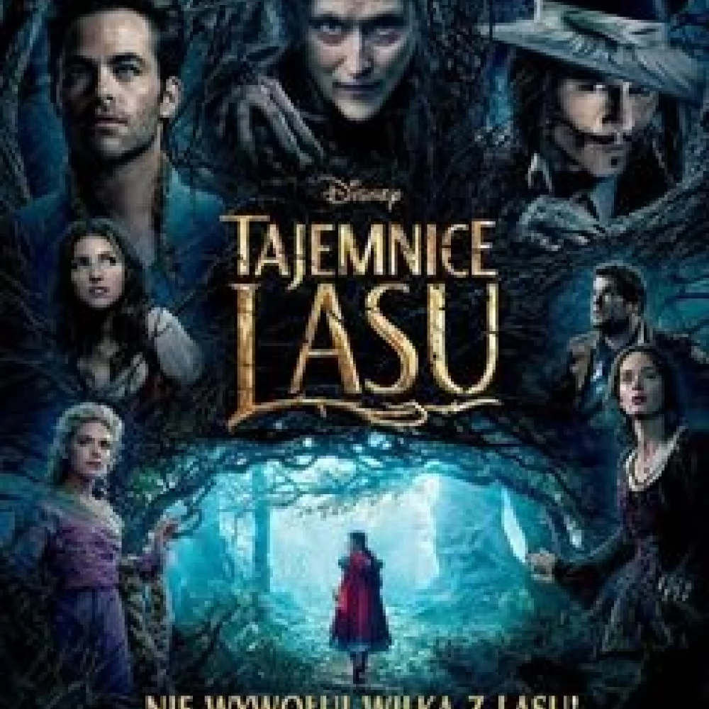 Kino Konesera. Tym razem TAJEMNICE LASU