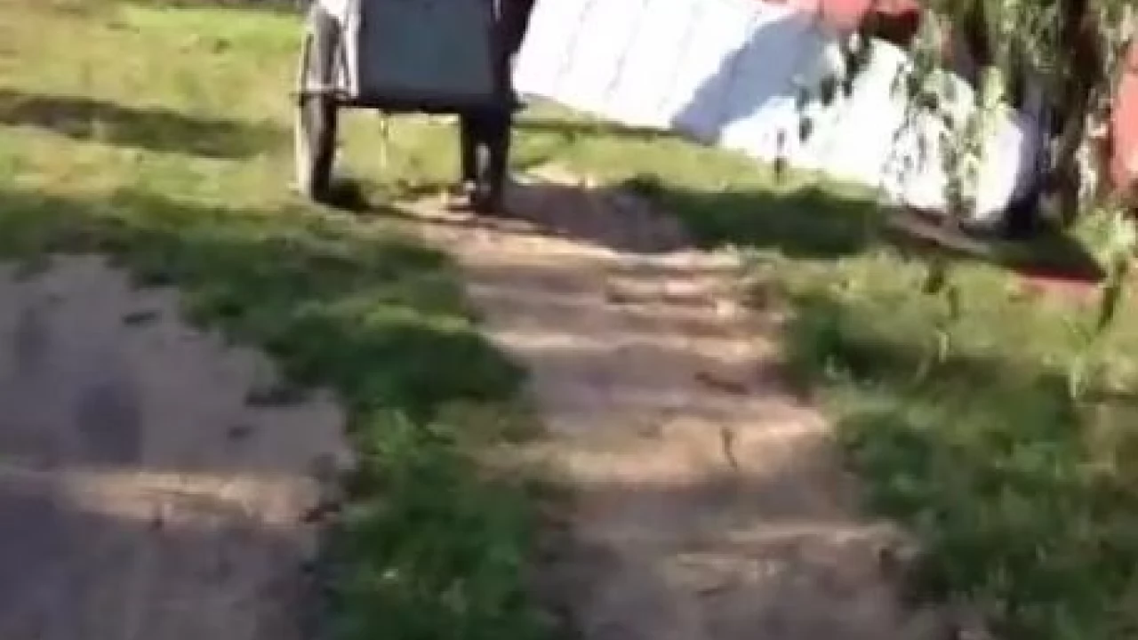Zbieracze złomu coraz bardziej zuchwali - alarmują właściciele prywatnych posesji