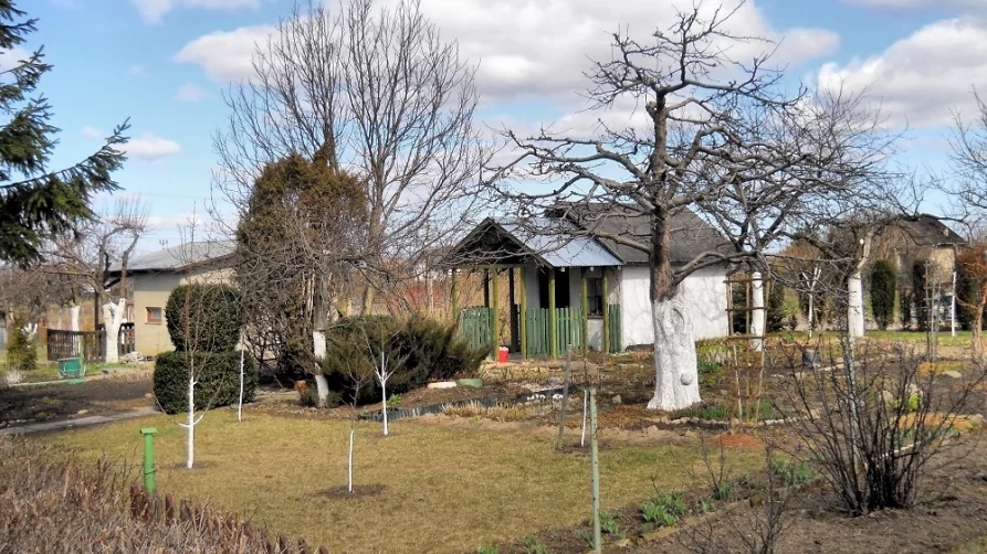 Ogródki działkowe (ul. Traugutta)