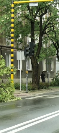Zdjęcie poglądowe - połamane drzewa po nawałnicy z 2010 roku