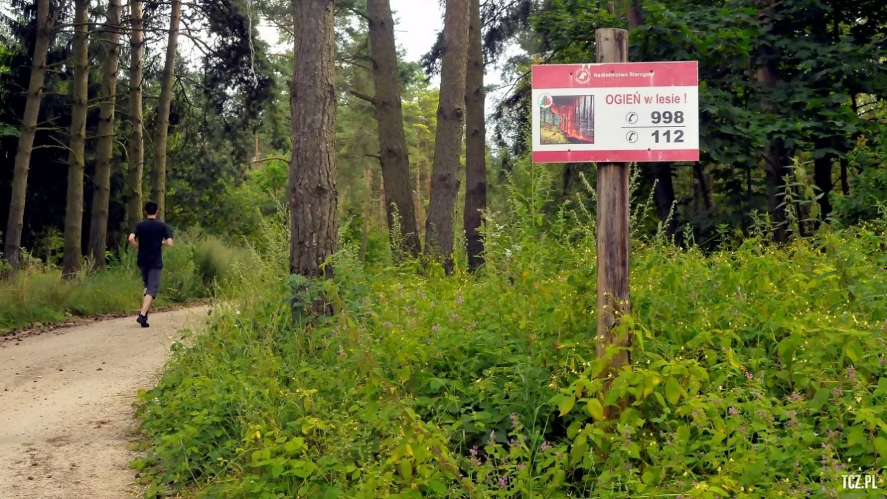 Strażak ochotnik w porę zauważył pożar lasu