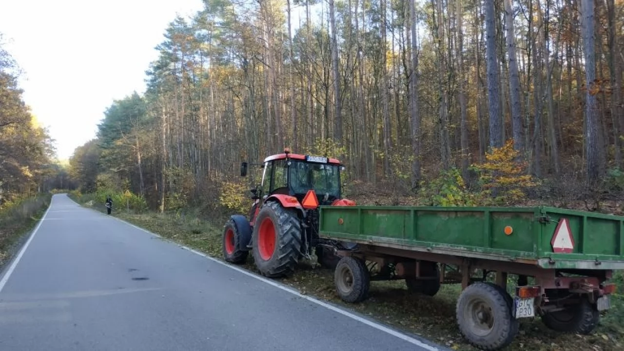 Prace ochronne w rezerwacie przyrody Opalenie