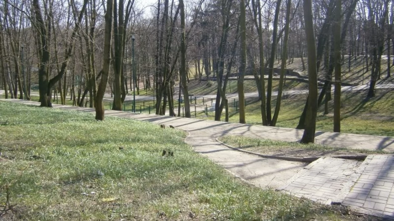 Park Miejski zamknięty do odwołania. Szczepienia ochronne przeciw wściekliźnie