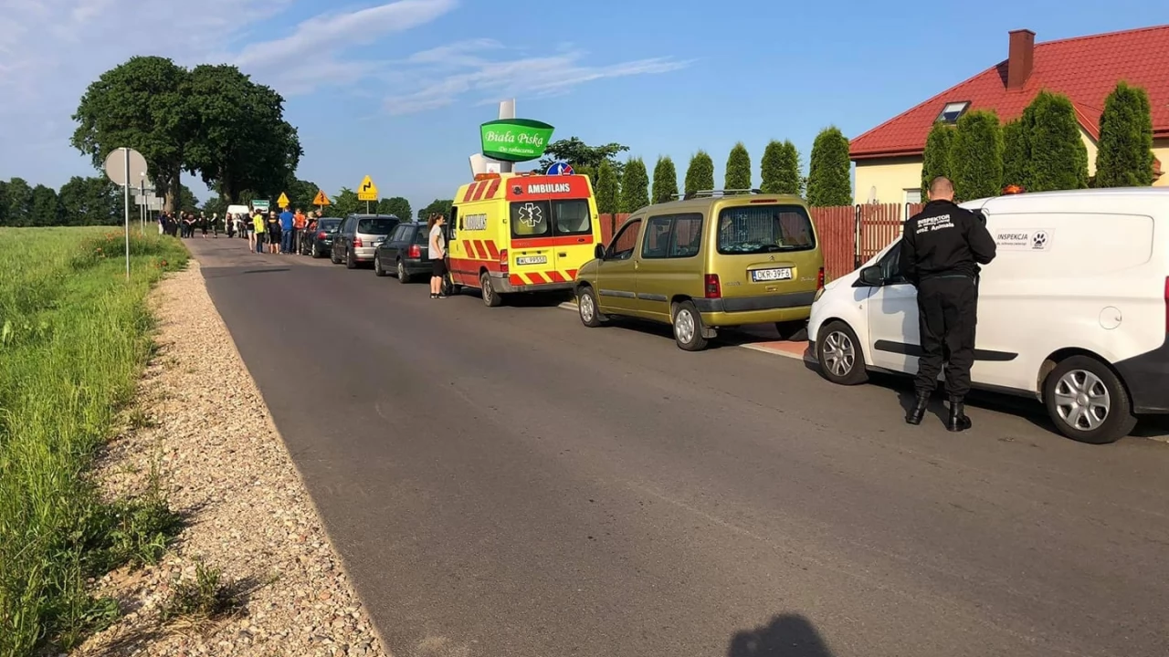 Część zwierząt z Radys znalazło azyl w Tczewie