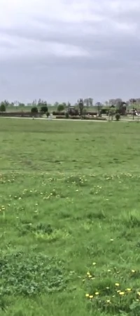 Bulwar