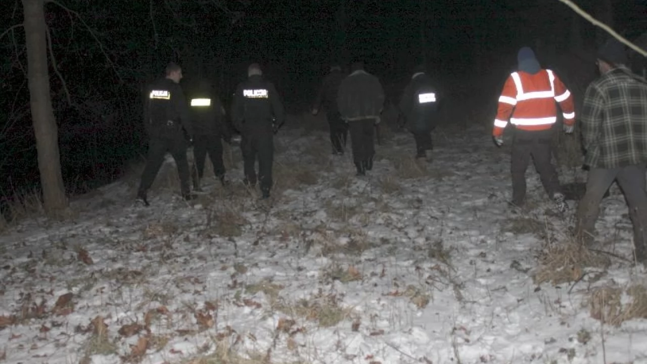 Na widok weterynarza ze środkiem usypiającym łosie uciekły do Śliwin