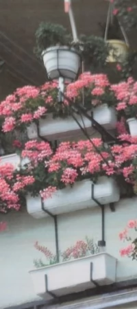Nagrody za najpiękniejszy dom, balkon, otoczenie