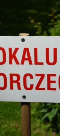 Wybory 2015 w Tczewie
