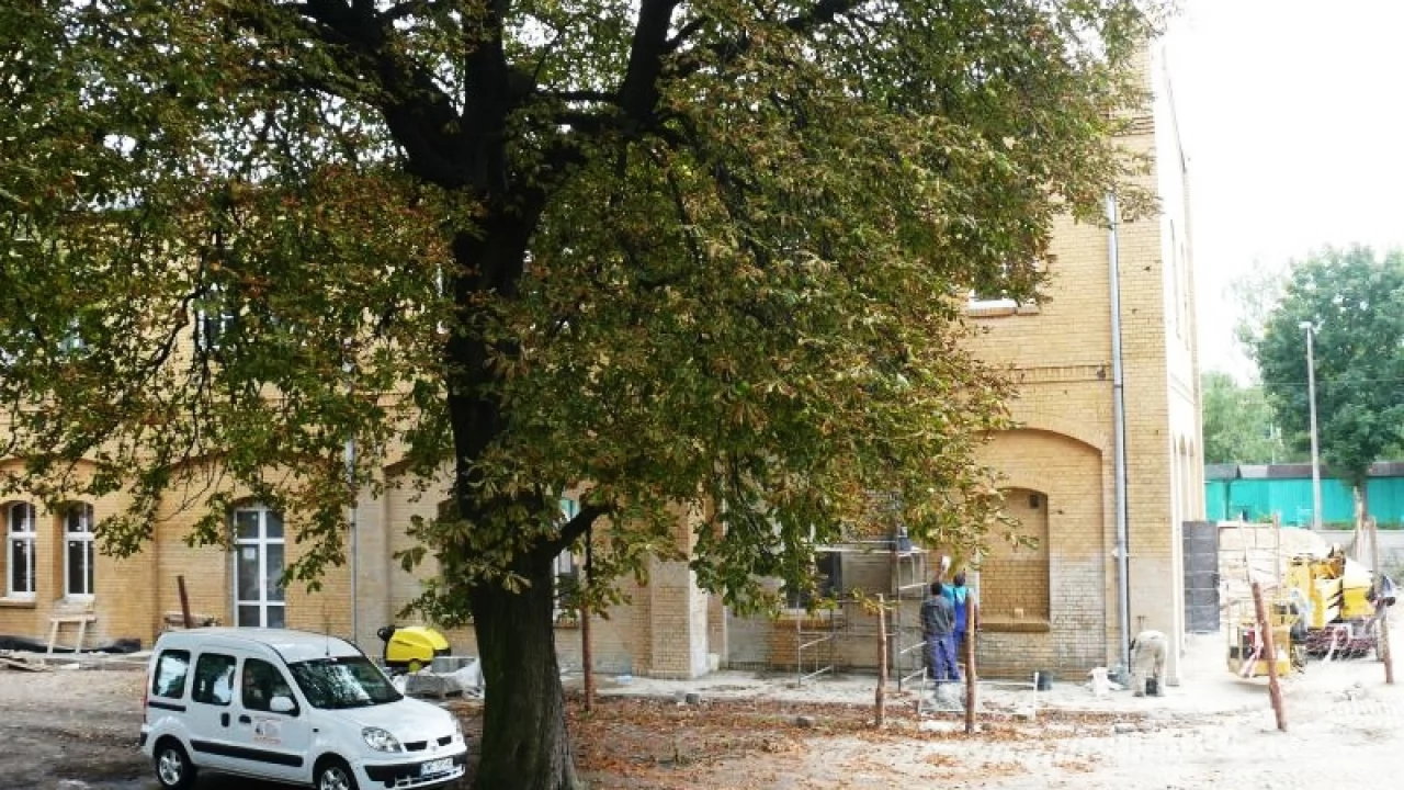 MOPS, dawny CED - przeprowadzka na początku roku