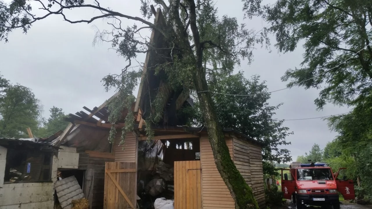 Apel Marszałka Województwa Pomorskiego do przedsiębiorców