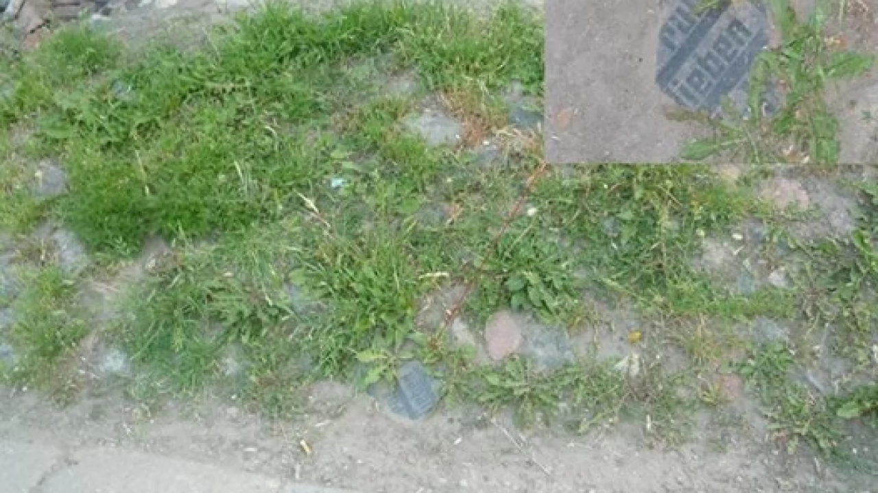 Kolejne fragmenty cmentarnych płyt z podbudowy drogi zabezpieczone