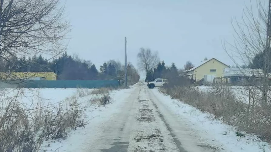 Na tej drodze widziano zwierzę