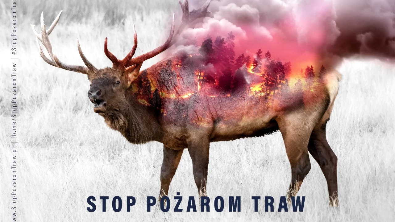 Policja przypomina - wypalenie traw jest niedozwolone!