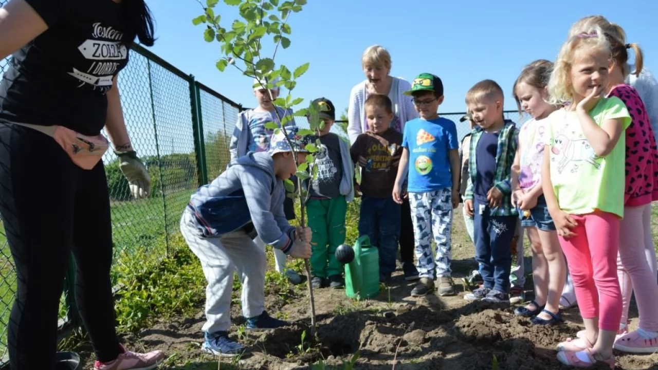 Przedszkolaki z Jelenia w zgodzie z naturą