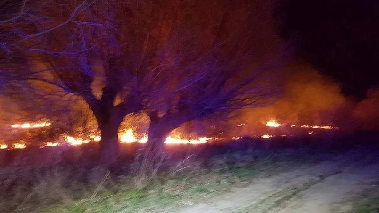 Płonął użytek ekologiczny! Najprawdopodobniej podpalenie