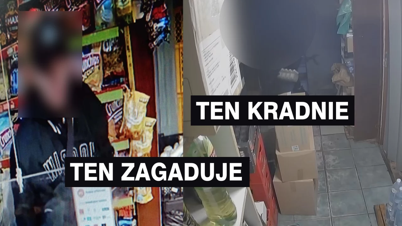 Jeden zagadywał, drugi wyniósł 60 butelek wódki [WIDEO]