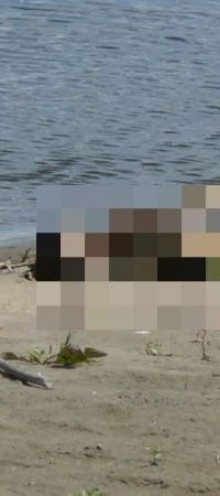 Ktoś bestialsko utopił psa w Wiśle