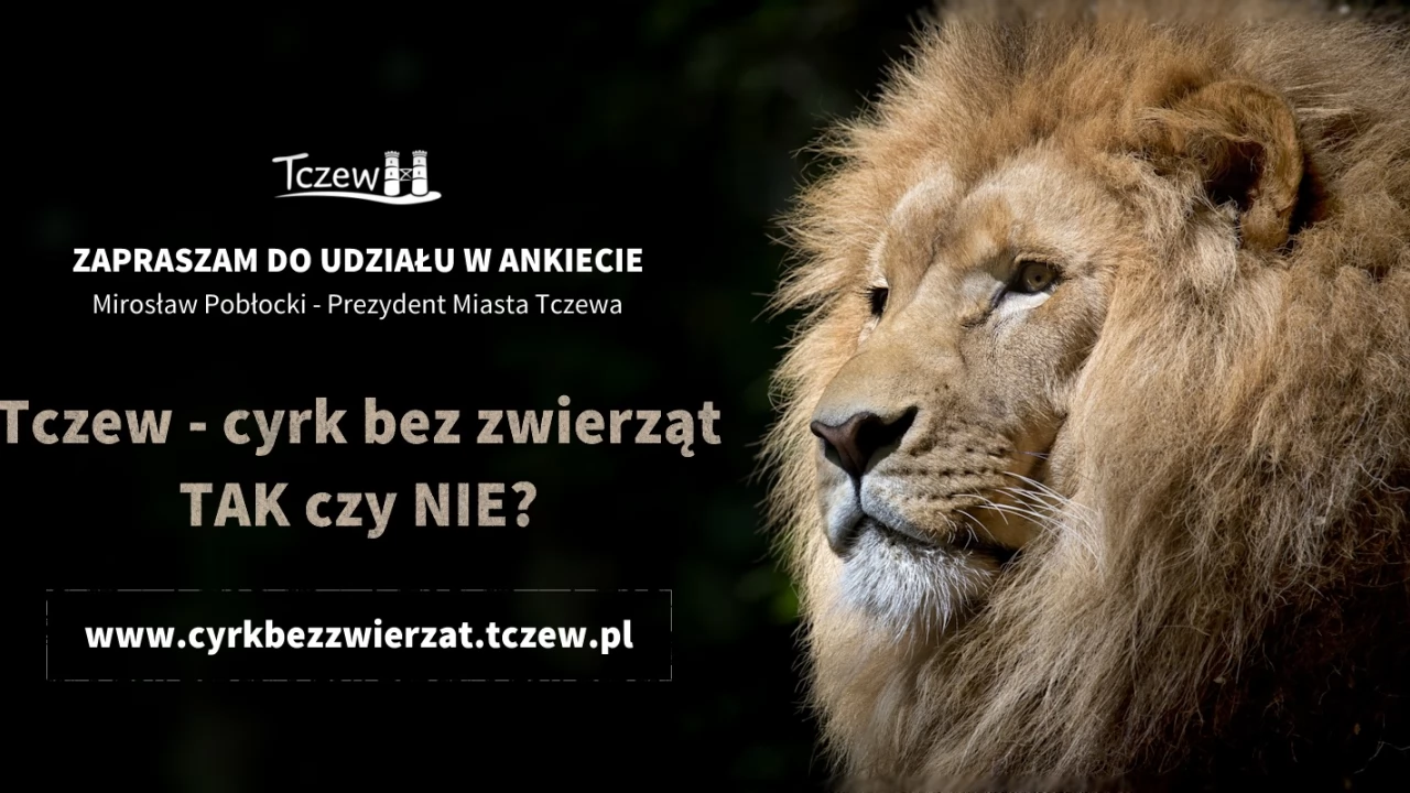 Cyrki ze zwierzętami nie wjadą do Tczewa?