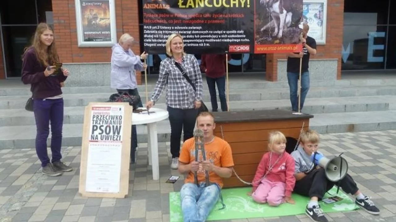 Tczewianie przeciwko psom na uwięzi. Happening przed galerią