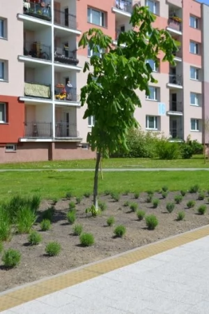 Tereny zielone w Tczewie