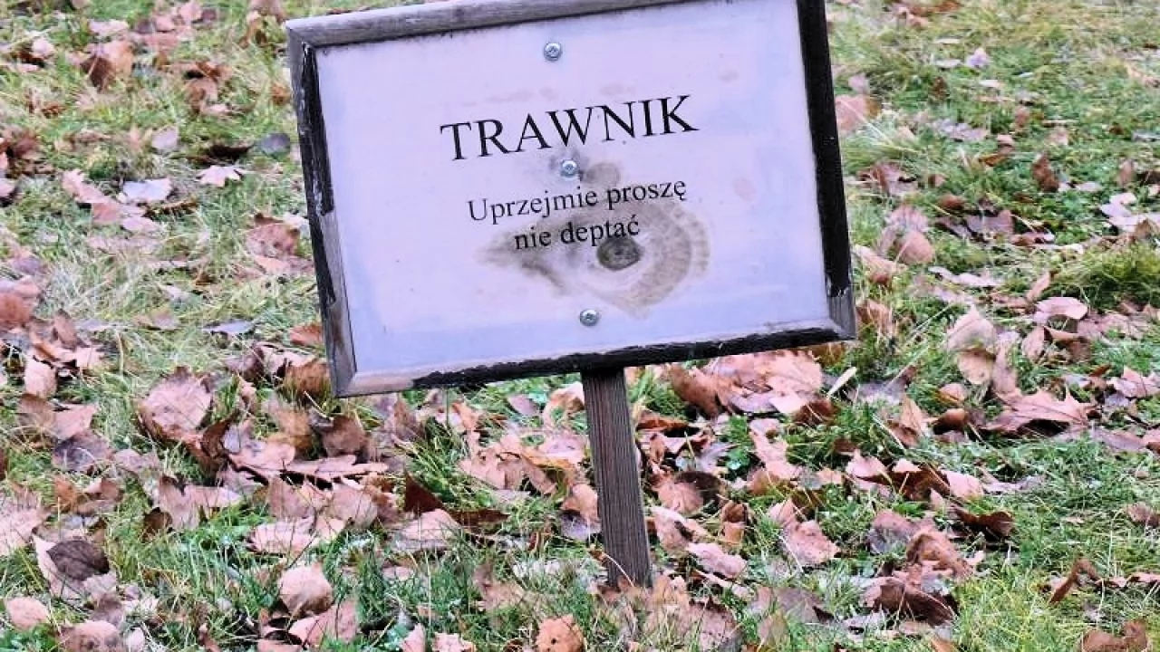 "Nie deptać trawników" - znikną tablice z takim napisem?