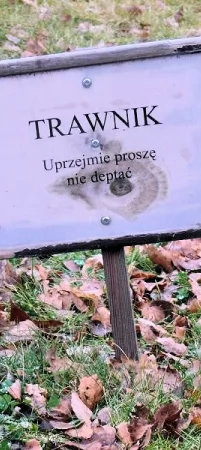 Trawniki do deptania, czy oglądania?