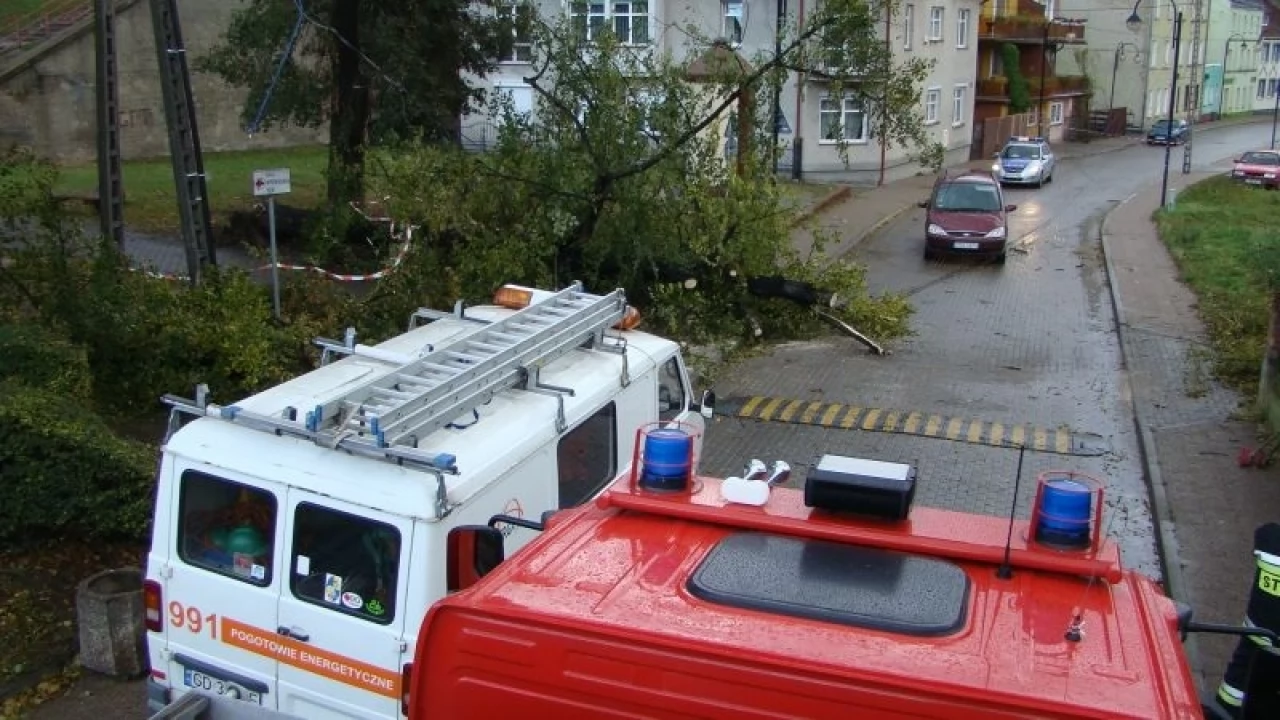 Strażacy usuwali wiatrołomy